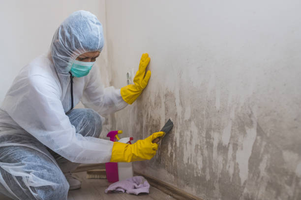 Crawl Space Mold Removal in Bigfork, MT