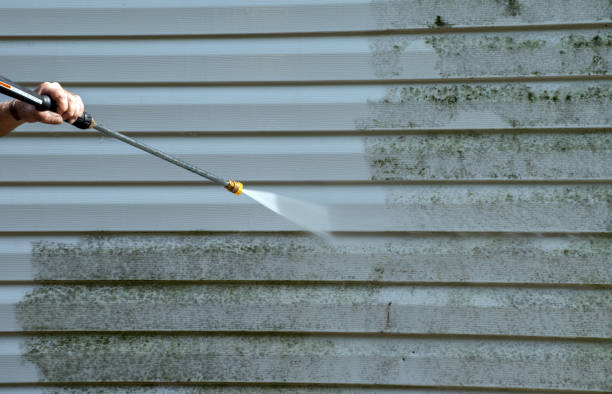Best Residential Mold Removal  in Bigfork, MT