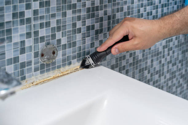 Best Certified Mold Removal  in Bigfork, MT