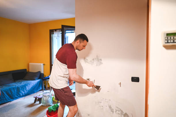 Best Professional Mold Removal  in Bigfork, MT